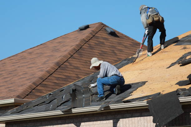 Best Roof Insulation Installation  in Lake Holm, WA