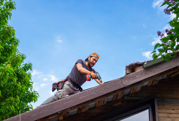 Best Roof Maintenance and Cleaning  in Lake Holm, WA