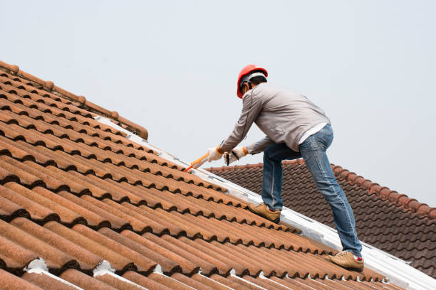 Best Roof Leak Repair  in Lake Holm, WA