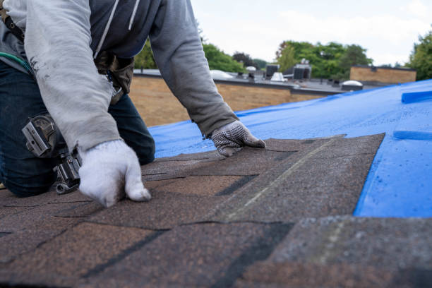 Best Roof Ventilation Installation  in Lake Holm, WA