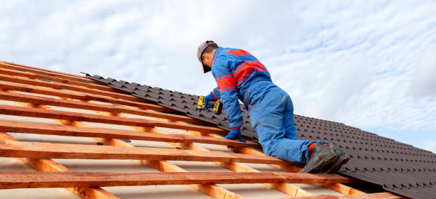 Best Sheet Metal Roofing  in Lake Holm, WA