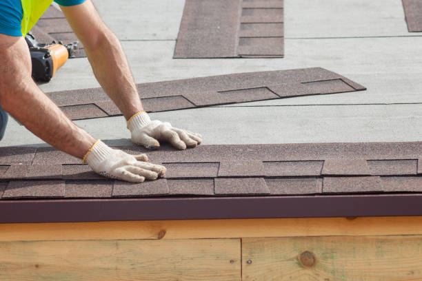 Best Solar Panel Roofing Installation  in Lake Holm, WA